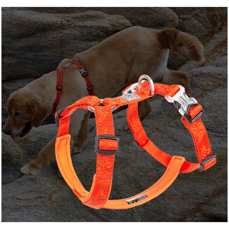 TRUELOVE Pet Hairy Usag 프리미엄 트 - Runners Gear 리뷰 및 가격