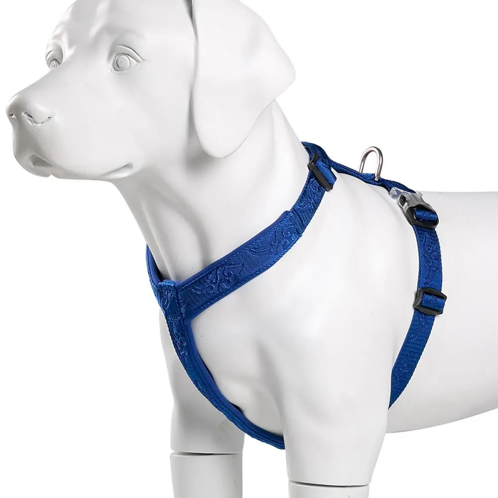 TRUELOVE Pet Hairy Usag 프리미엄 트 - Runners Gear 리뷰 및 가격